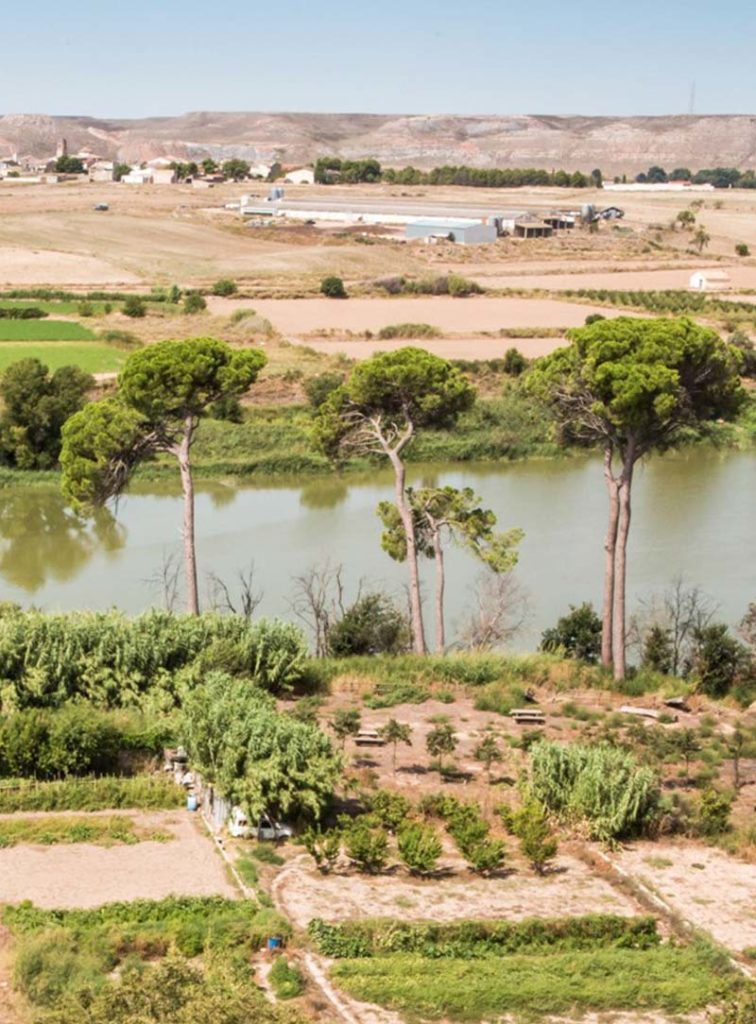 Ribera del Ebro, Alborge 2